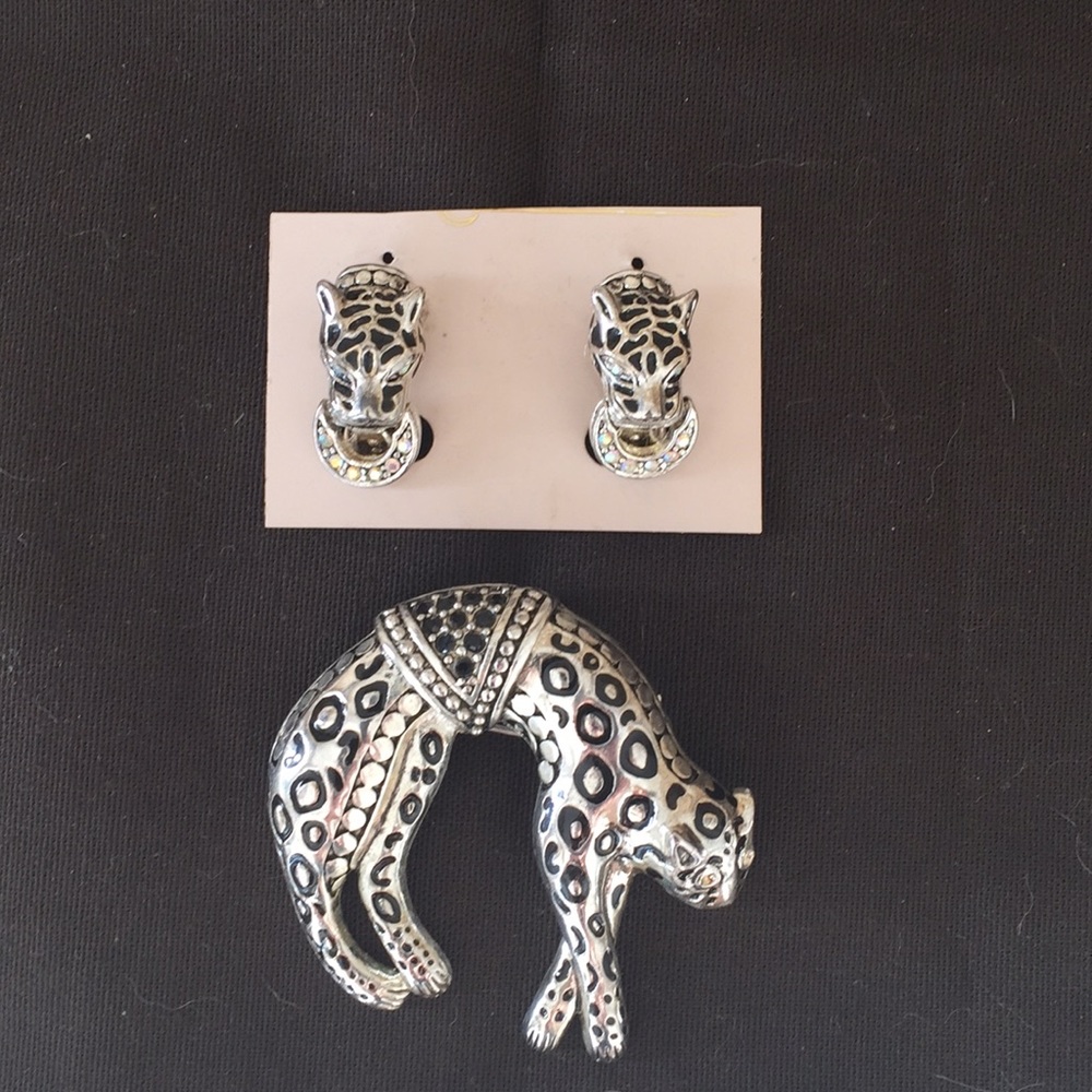 Brooch and Earring Set